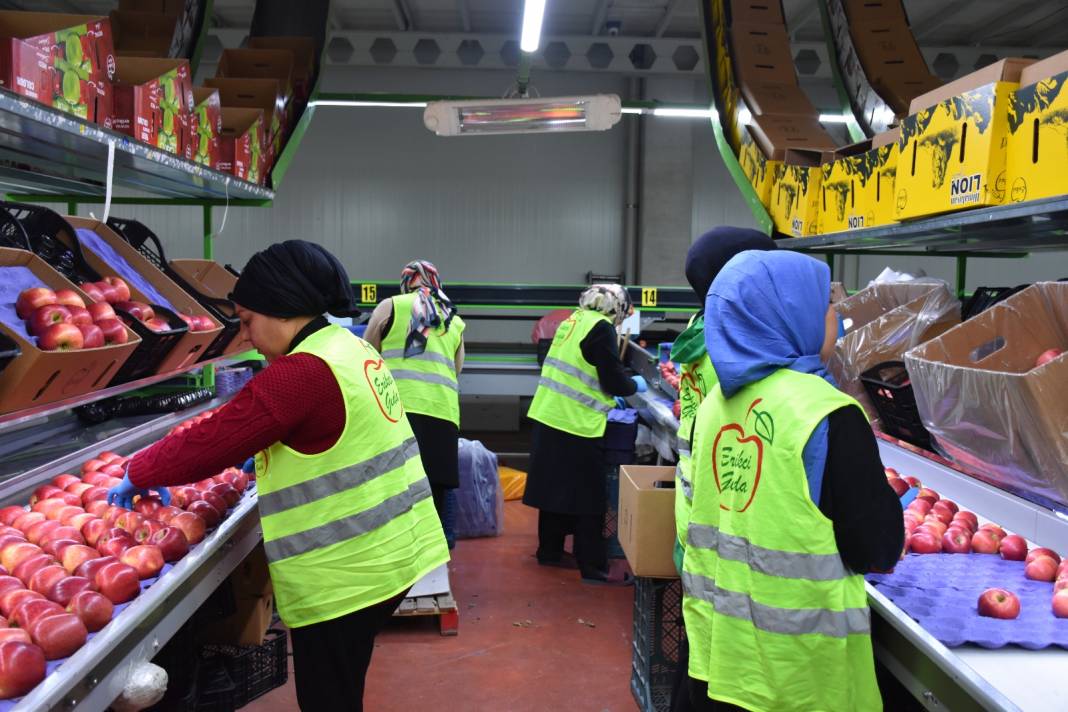 Modern tesis kurdu: Yetiştirdiği meyve 21 ülkede kapış kapış satıldı 2